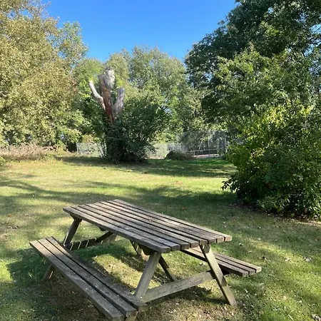 Enjoy Summer At Chateau De Monbrison, For Four Guests