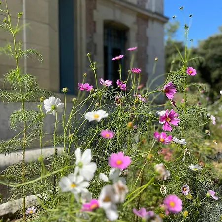 Enjoy Summer At Chateau De Monbrison, For Four Guests Saint-Michel (Tarn-et-Garonne)